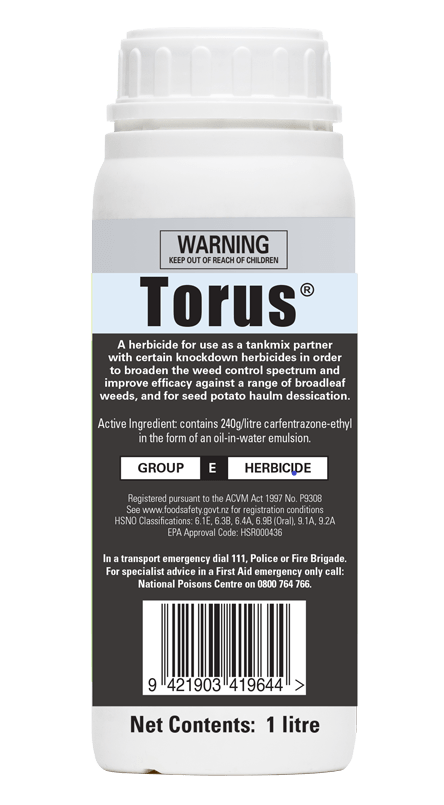 Torus (1L)