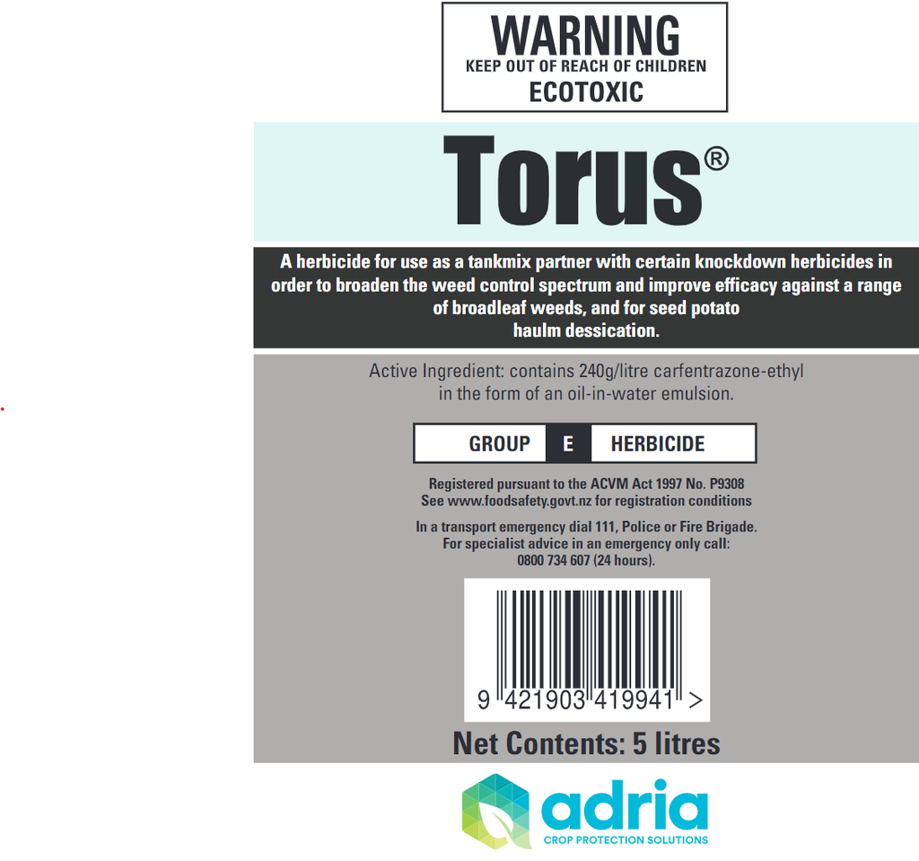[CH041] Torus (5L)