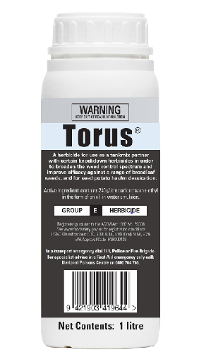 [CH205] Torus (1L)